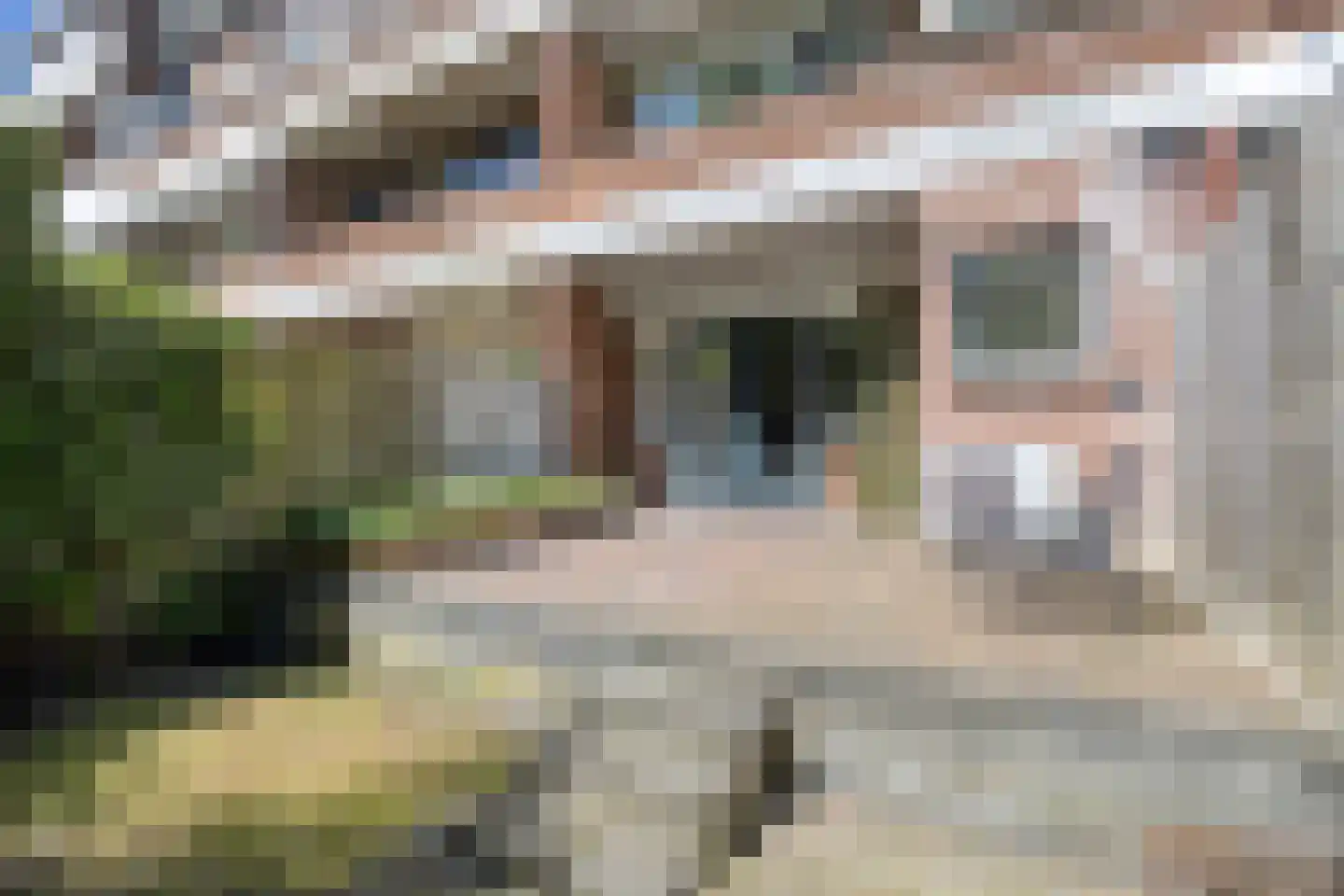 Koeriersterweg 21 Groningen thumbnail 39