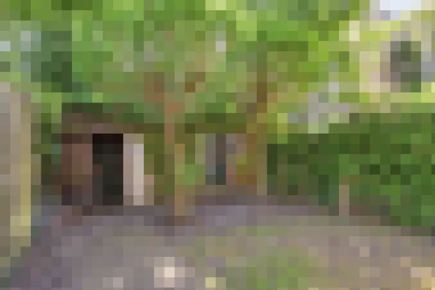 Koeriersterweg 21 Groningen thumbnail 41