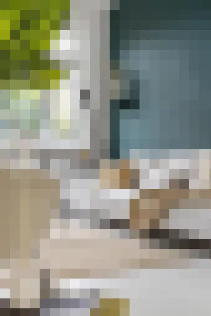 Koeriersterweg 24 Groningen thumbnail 12