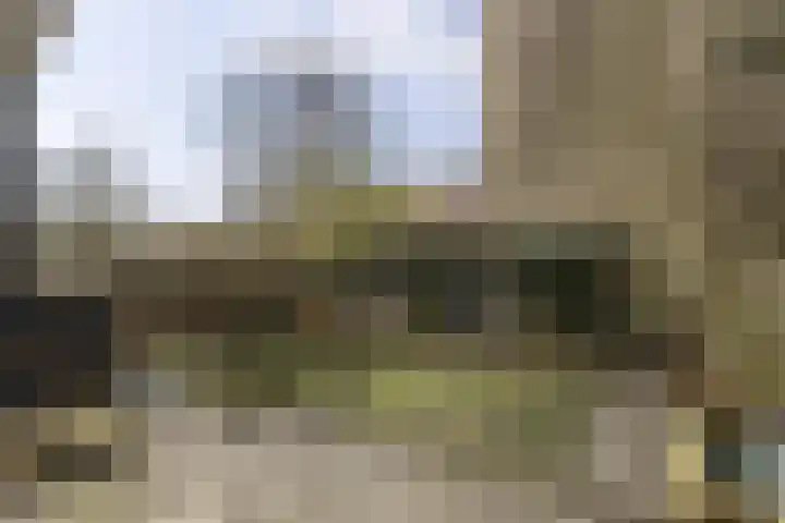 Koeriersterweg 24 Groningen thumbnail 27