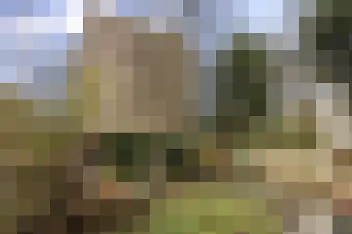 Koeriersterweg 24 Groningen thumbnail 28