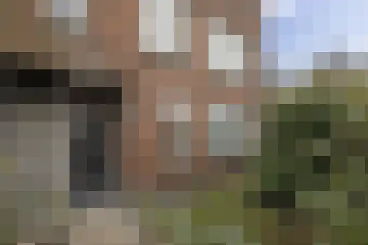 Koeriersterweg 24 Groningen thumbnail 7