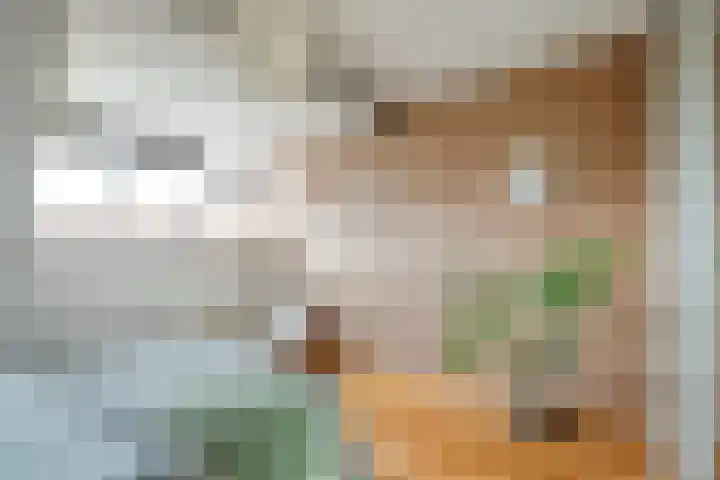 Koeriersterweg 3 a Groningen thumbnail 11
