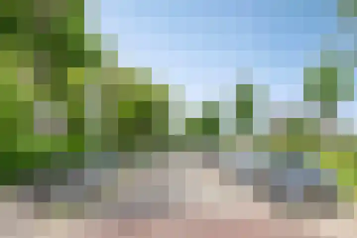 Koeriersterweg 3 a Groningen thumbnail 19