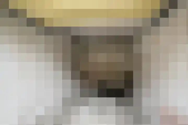 Koeriersterweg 3 a Groningen thumbnail 22