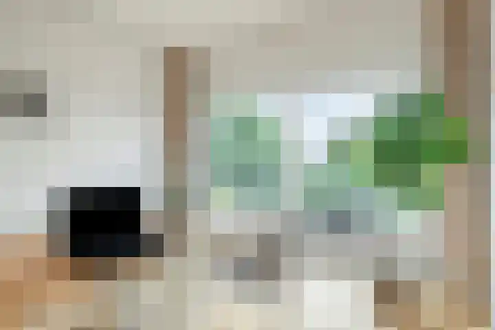 Koeriersterweg 3 a Groningen thumbnail 7