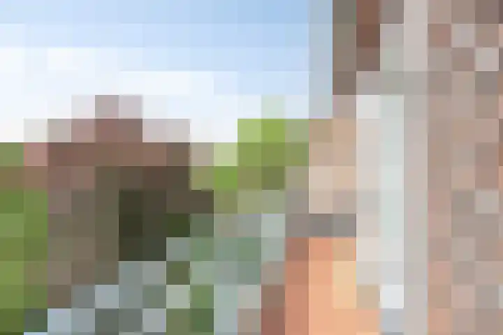 Koeriersterweg 3 a Groningen thumbnail 8