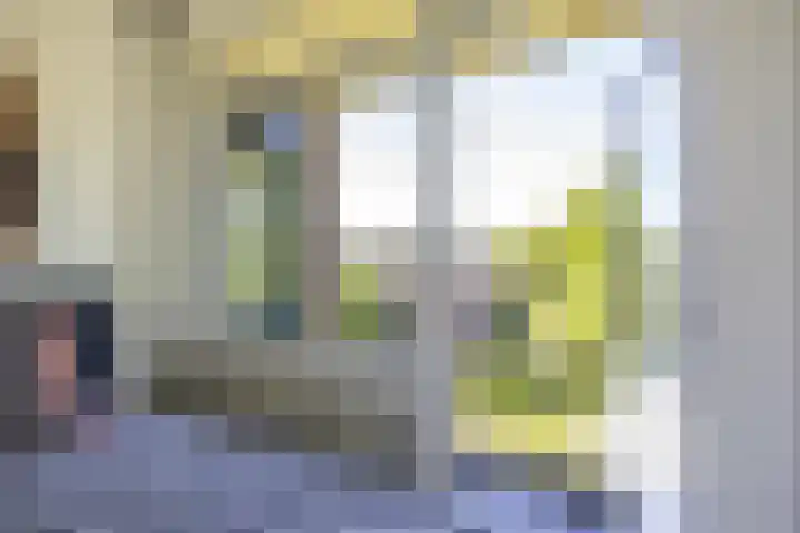 Koeriersterweg 52 Groningen thumbnail 4