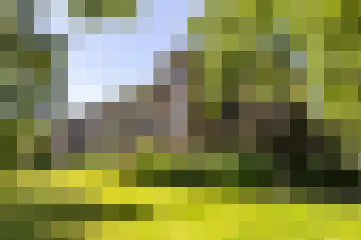Koeriersterweg 52 Groningen thumbnail 5