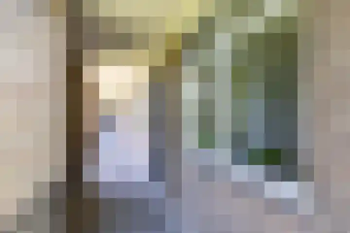 Koeriersterweg 52 Groningen thumbnail 7