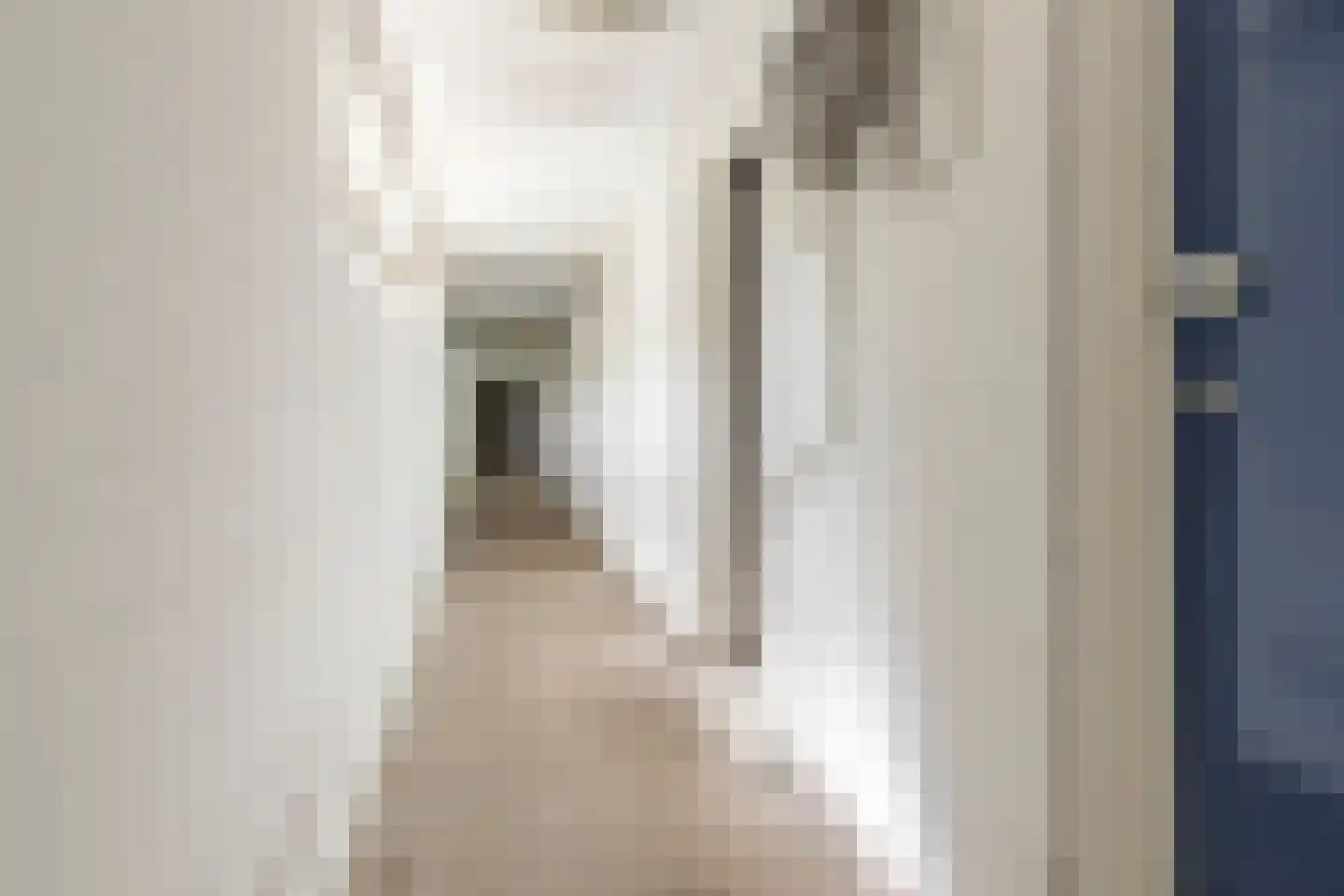 Koeriersterweg 60 Groningen thumbnail 36