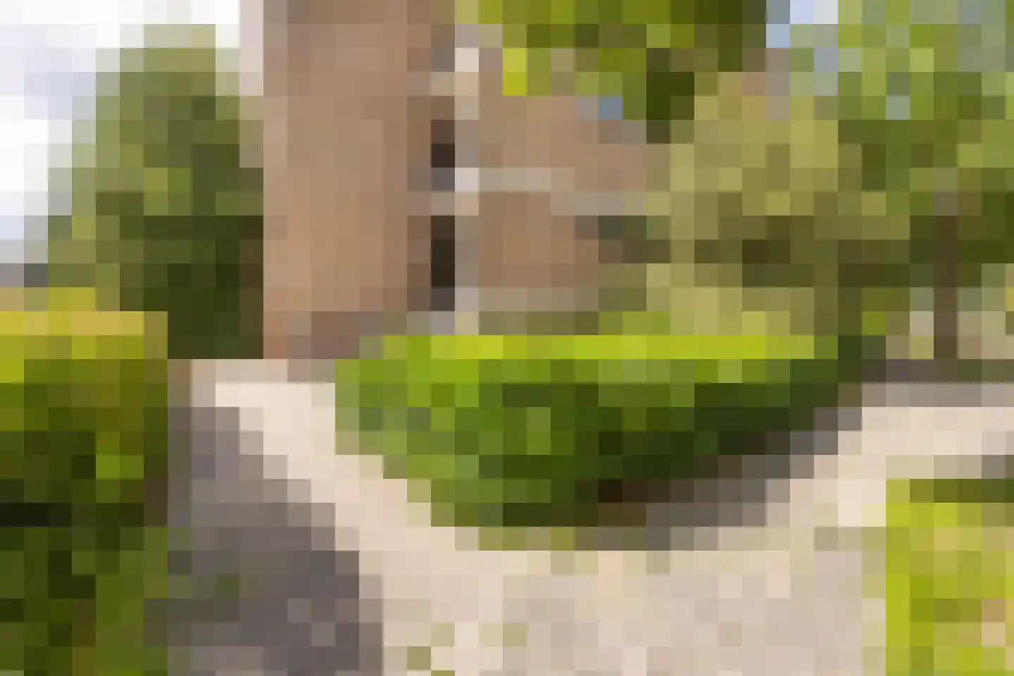 Koeriersterweg 60 Groningen thumbnail 39