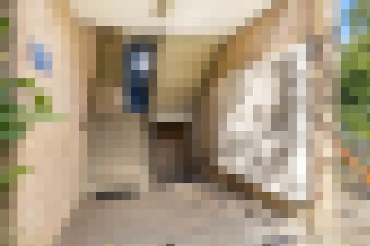 Koeriersterweg 60 Groningen thumbnail 7