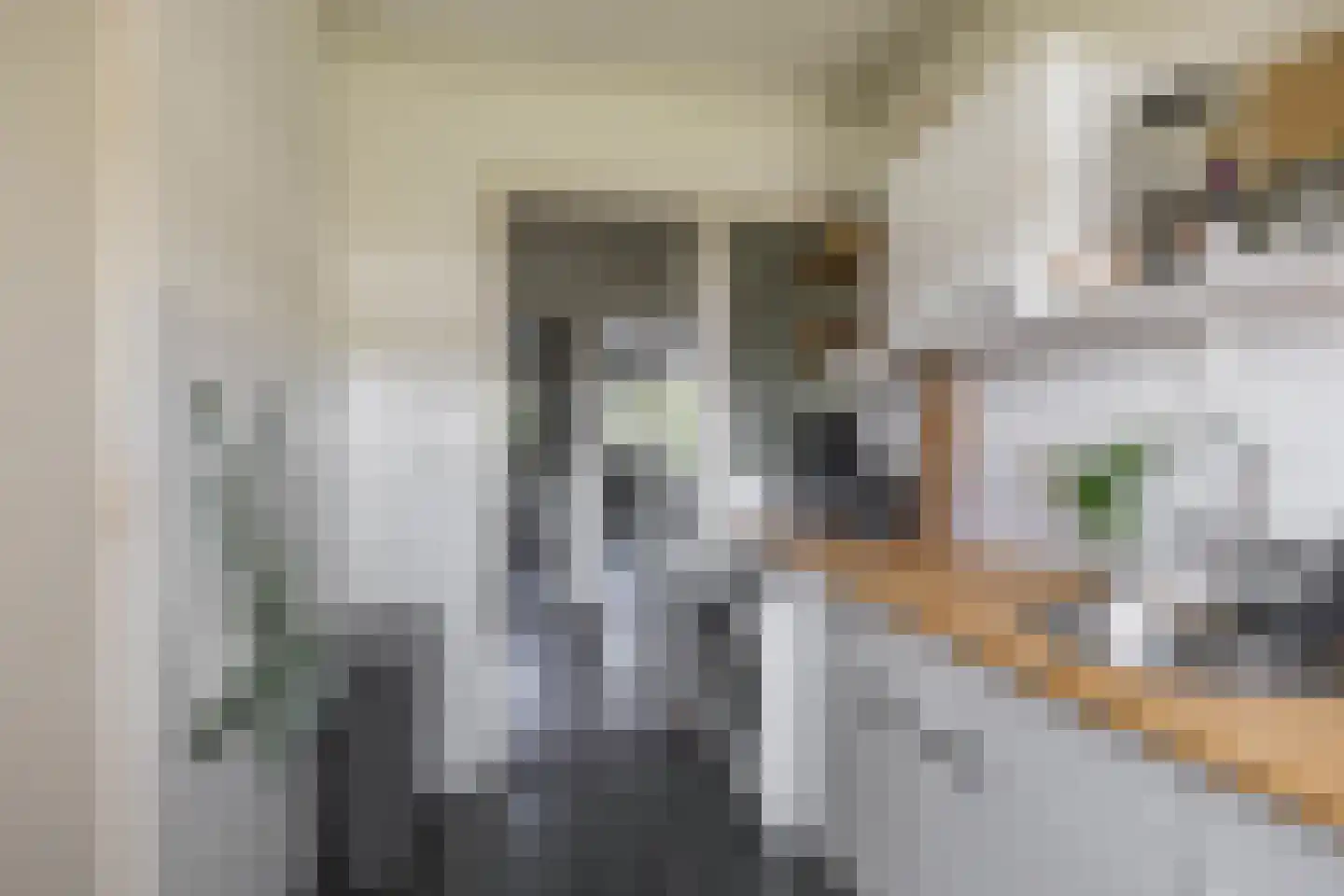 Koeriersterweg 65 Groningen thumbnail 16