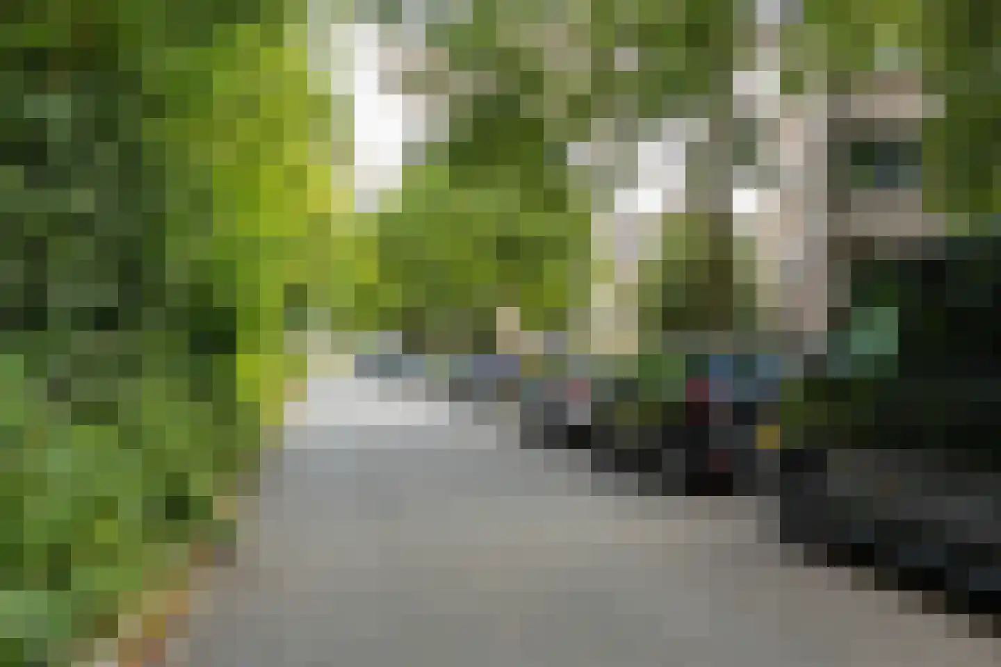 Koeriersterweg 65 Groningen thumbnail 25