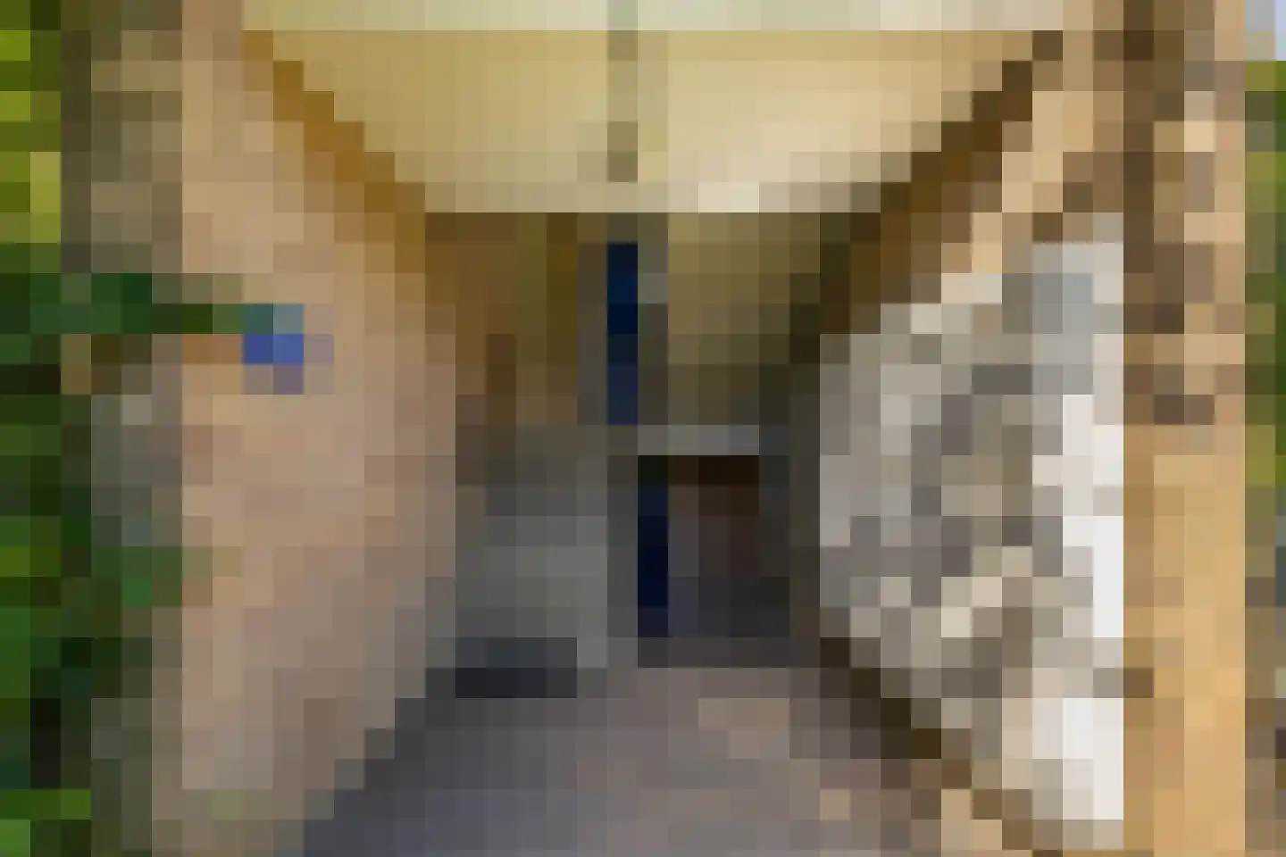 Koeriersterweg 65 Groningen thumbnail 5