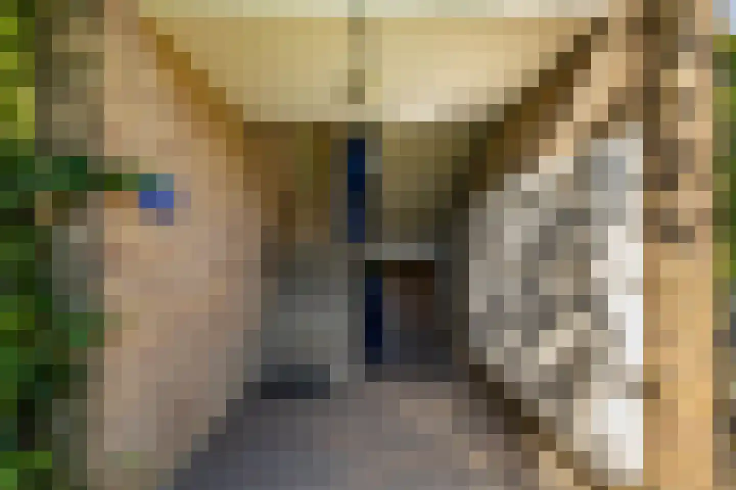 Koeriersterweg 65 Groningen thumbnail 6