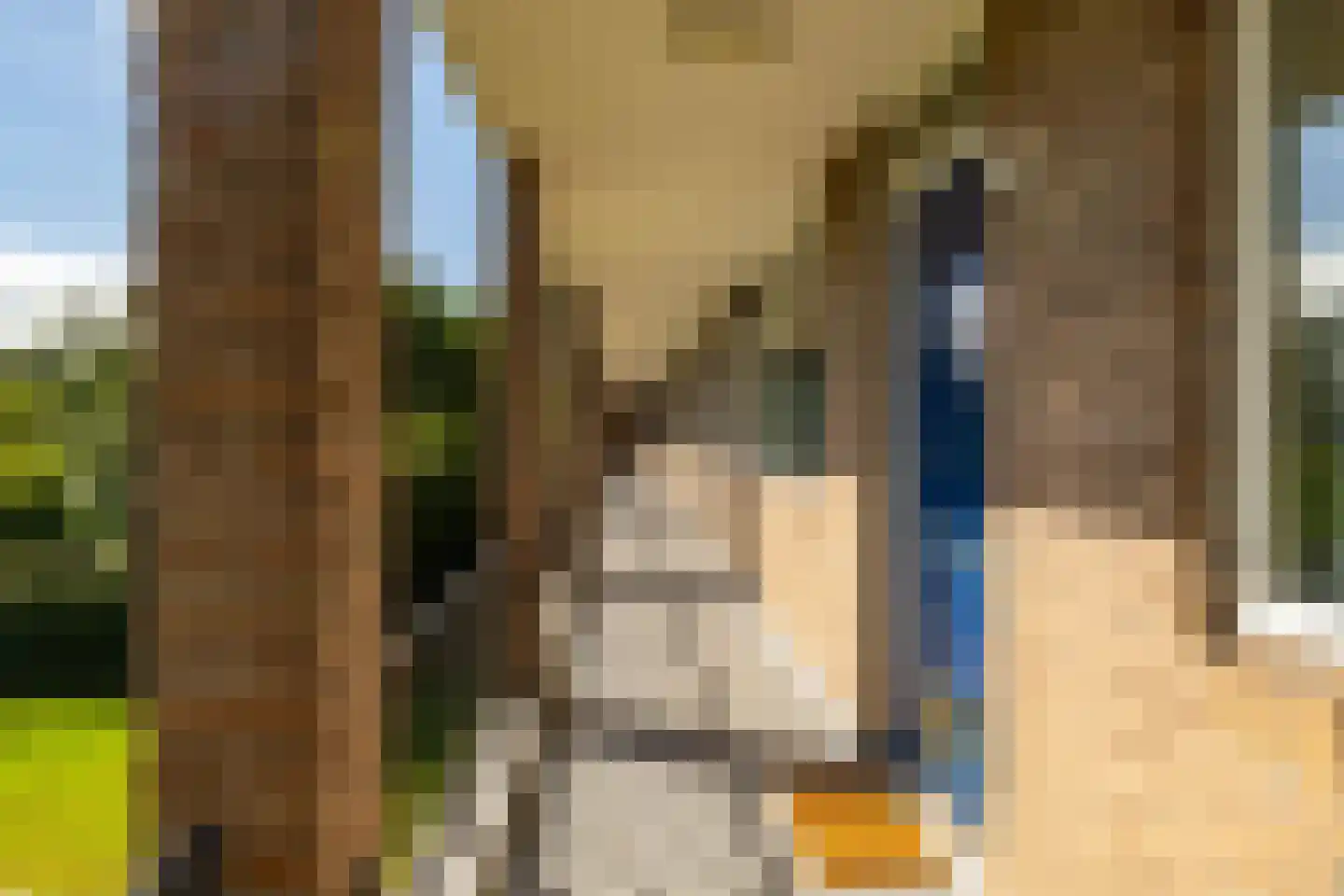 Koeriersterweg 65 Groningen thumbnail 6