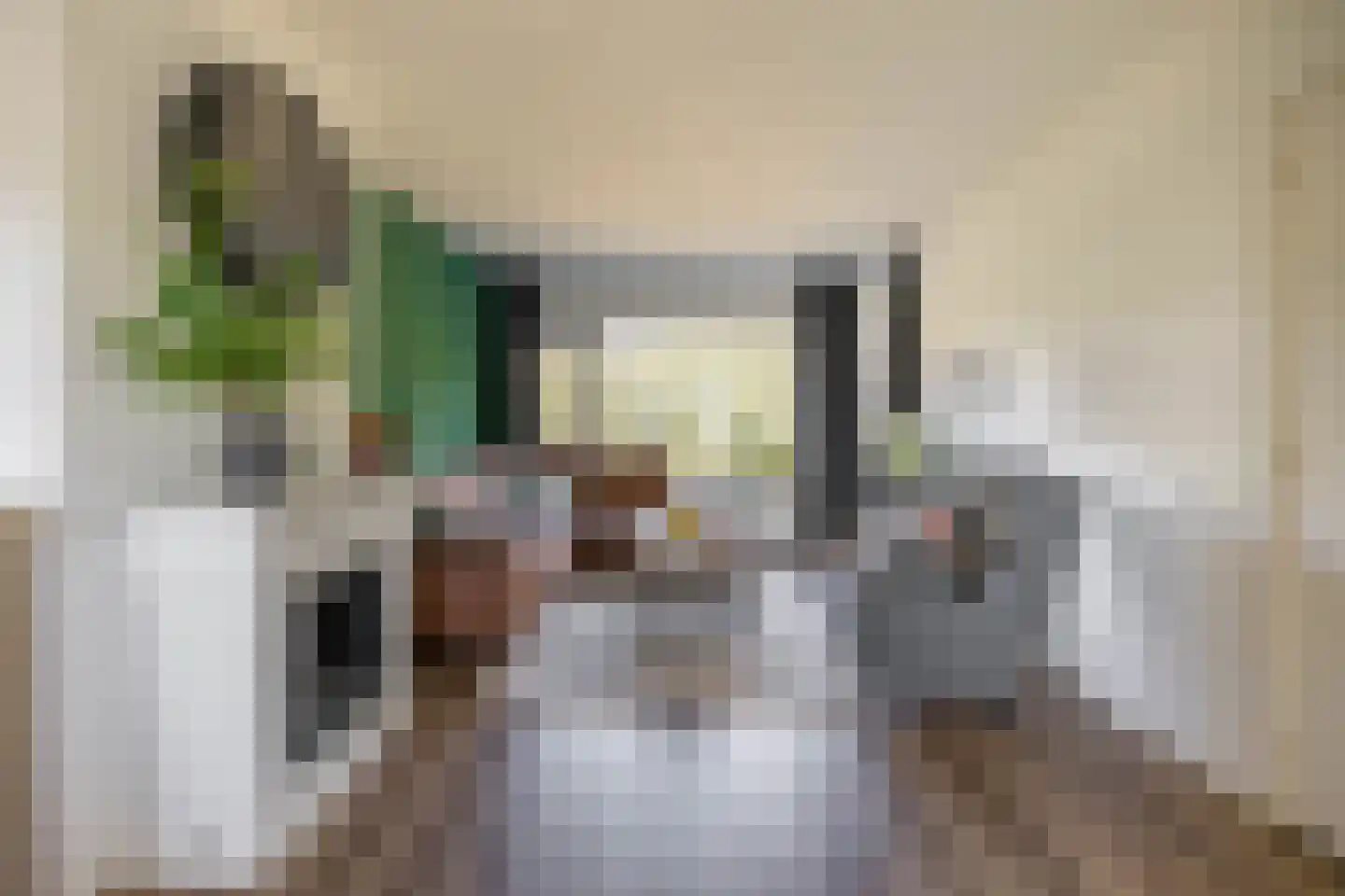 Koeriersterweg 65 Groningen thumbnail 8