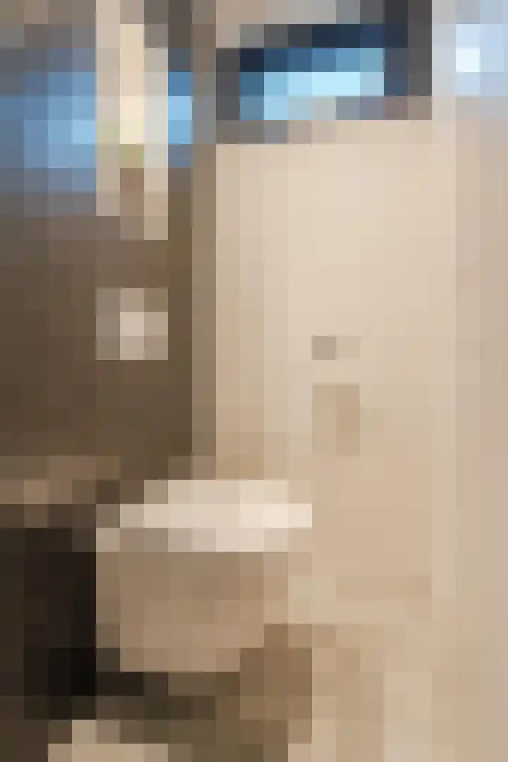 Koeriersterweg 66 Groningen thumbnail 12