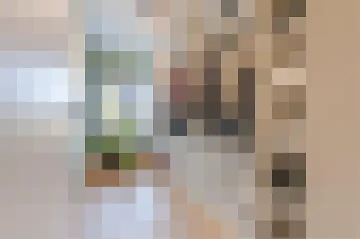 Koeriersterweg 66 Groningen thumbnail 35