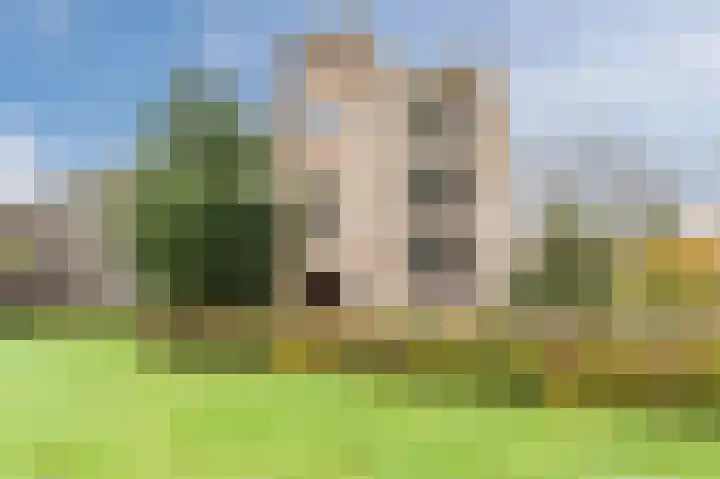 Koeriersterweg 66 Groningen thumbnail 4