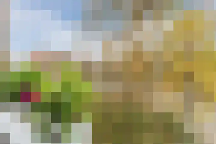 Koeriersterweg 66 Groningen thumbnail 43