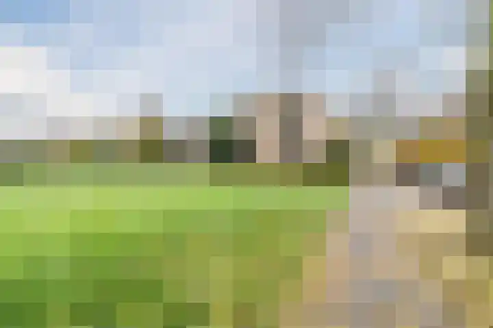 Koeriersterweg 66 Groningen thumbnail 6