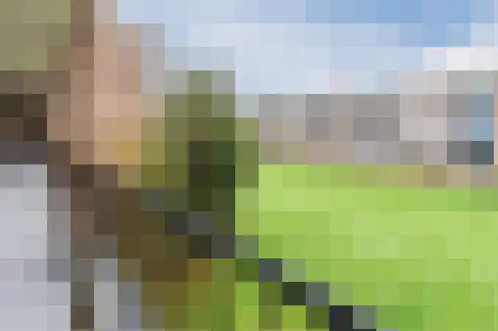 Koeriersterweg 66 Groningen thumbnail 7