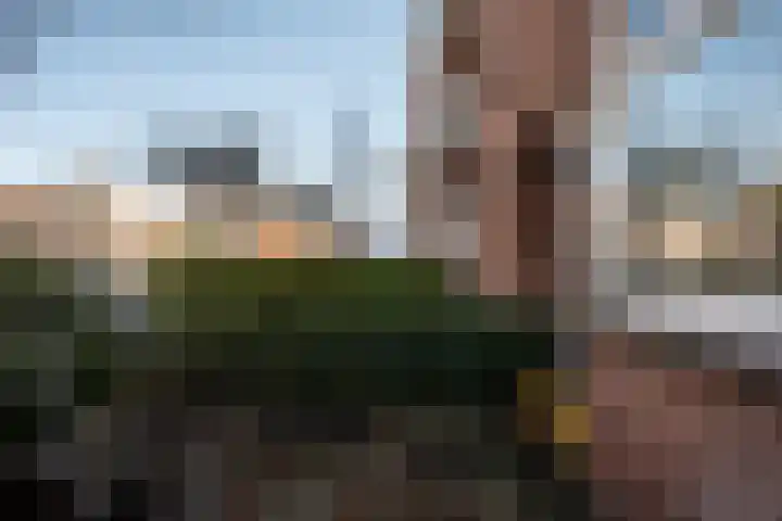 Koeriersterweg 7 Groningen thumbnail 13