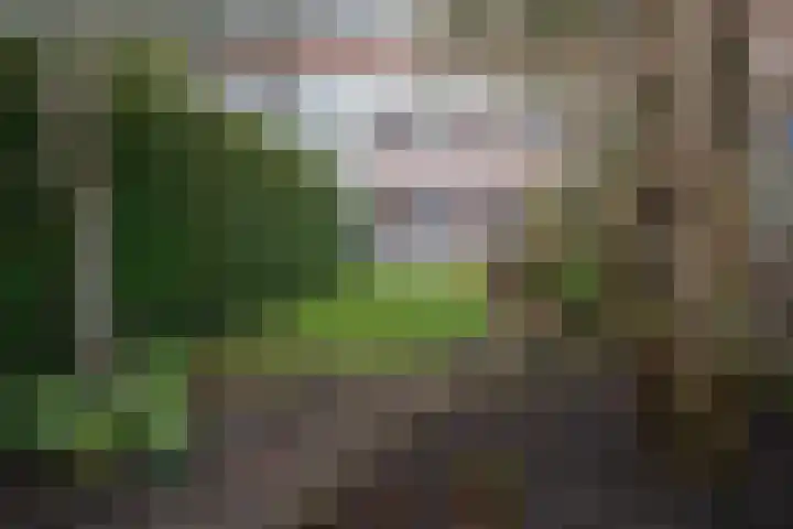 Koeriersterweg 7 Groningen thumbnail 44
