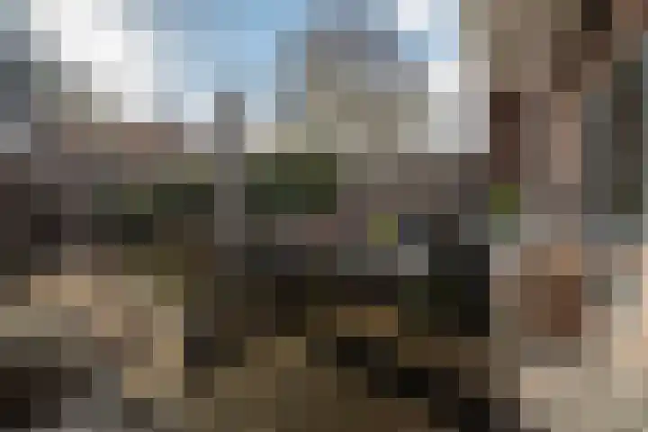 Koeriersterweg 7 Groningen thumbnail 47