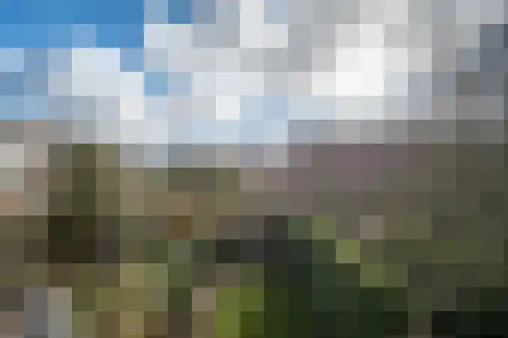 Koeriersterweg 7 Groningen thumbnail 51