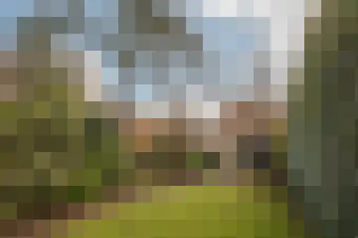 Koeriersterweg 7 Groningen thumbnail 6