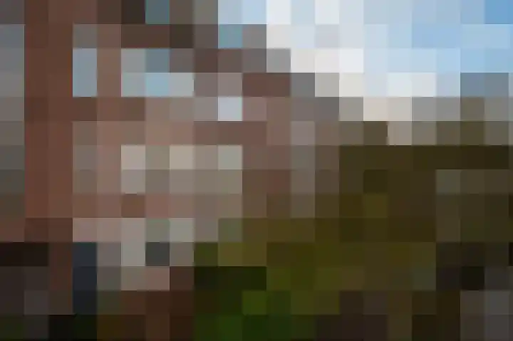 Koeriersterweg 7 Groningen thumbnail 8