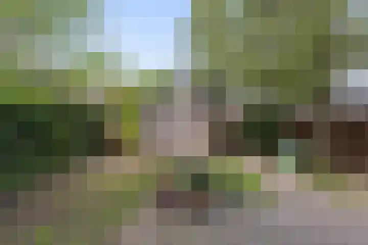 Koerierstraat 18 Huissen thumbnail 12