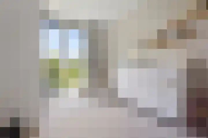 Koerierstraat 18 Huissen thumbnail 19