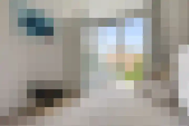 Koerierstraat 18 Huissen thumbnail 21