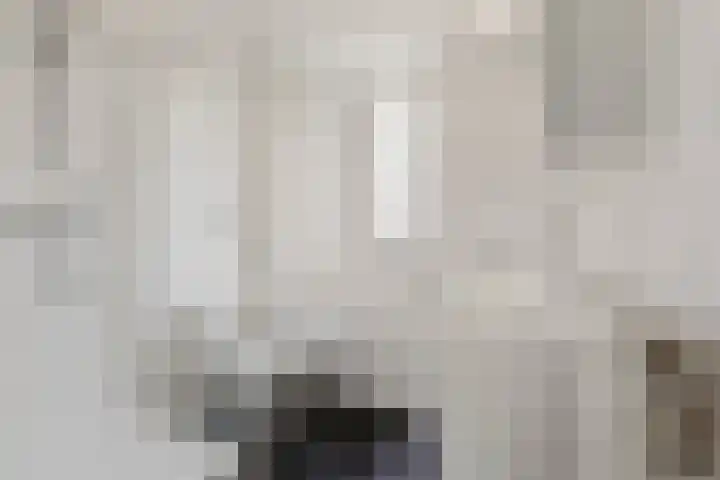 Koerierstraat 18 Huissen thumbnail 22