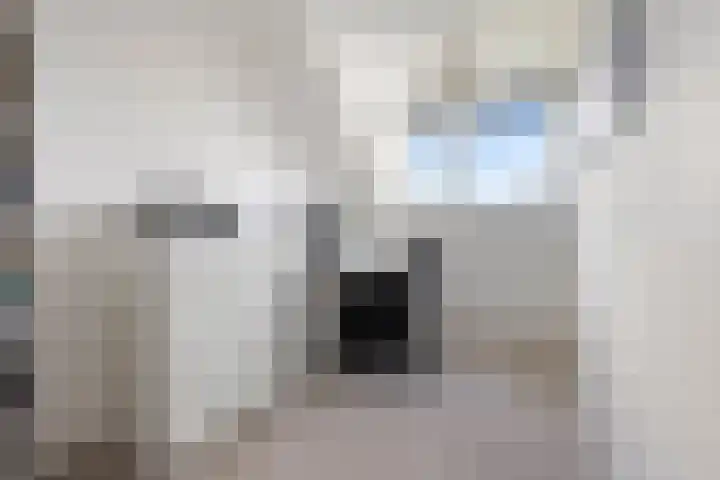 Koerierstraat 18 Huissen thumbnail 28