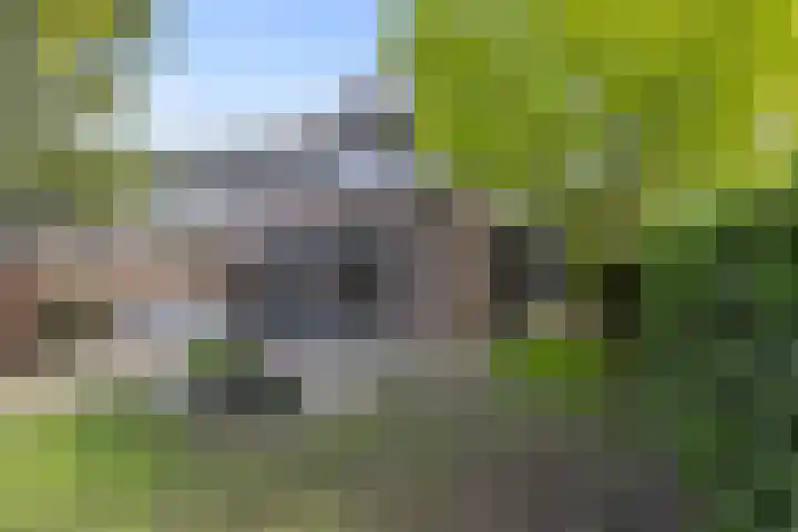 Koerierstraat 18 Huissen thumbnail 4