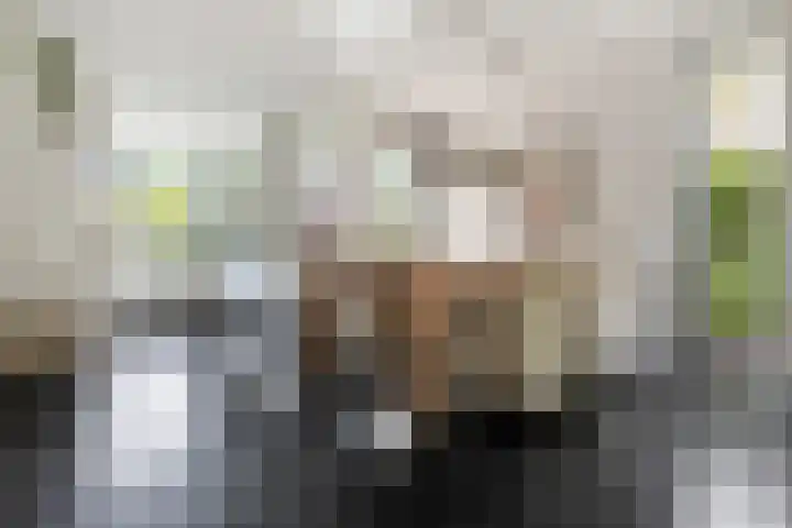 Koerierstraat 18 Huissen thumbnail 9