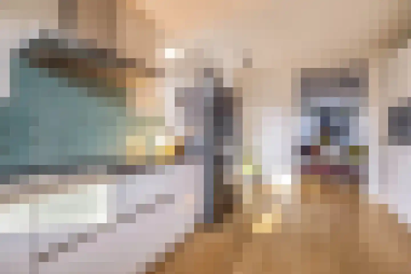 Koerlingwei 24 Arnhem thumbnail 12