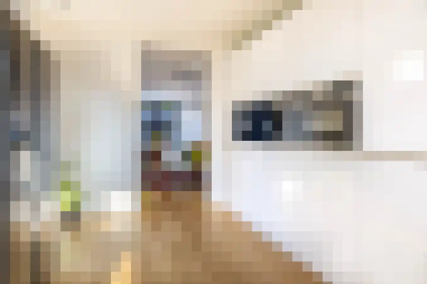 Koerlingwei 24 Arnhem thumbnail 13