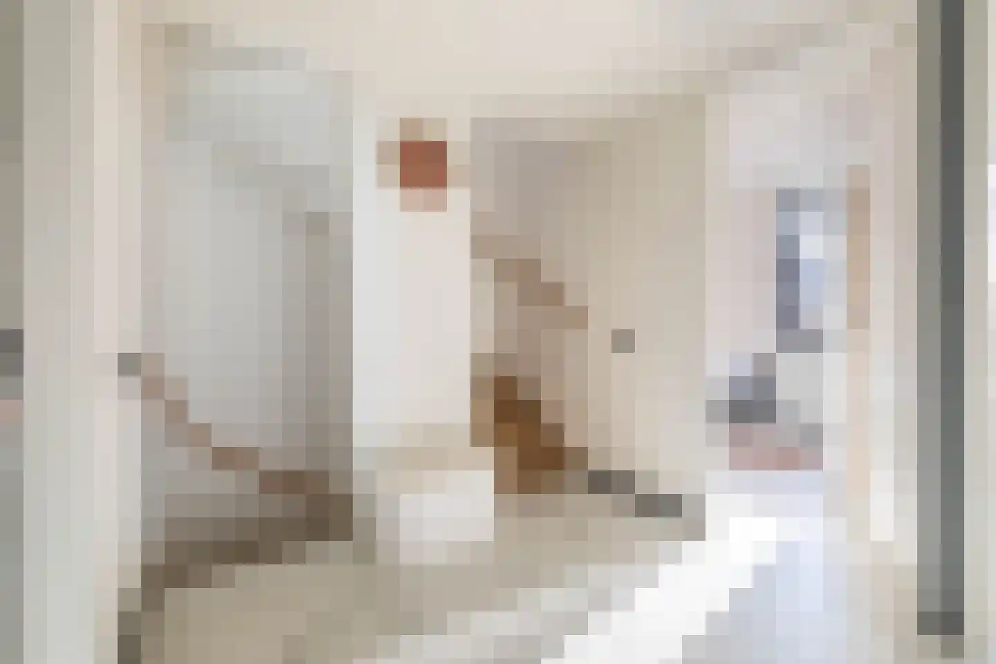 Koerlingwei 24 Arnhem thumbnail 21