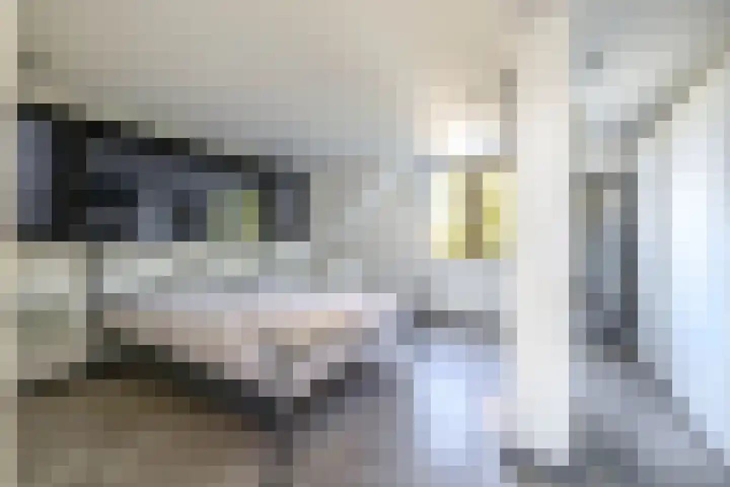 Koerlingwei 24 Arnhem thumbnail 32