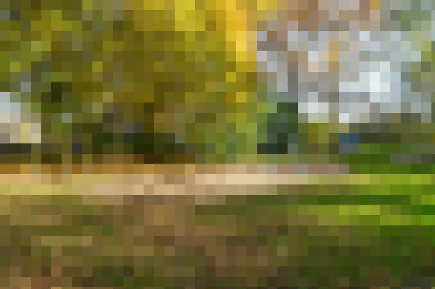 Koerlingwei 24 Arnhem thumbnail 50