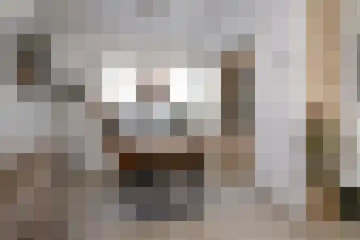 Koers 2 Huizen thumbnail 12