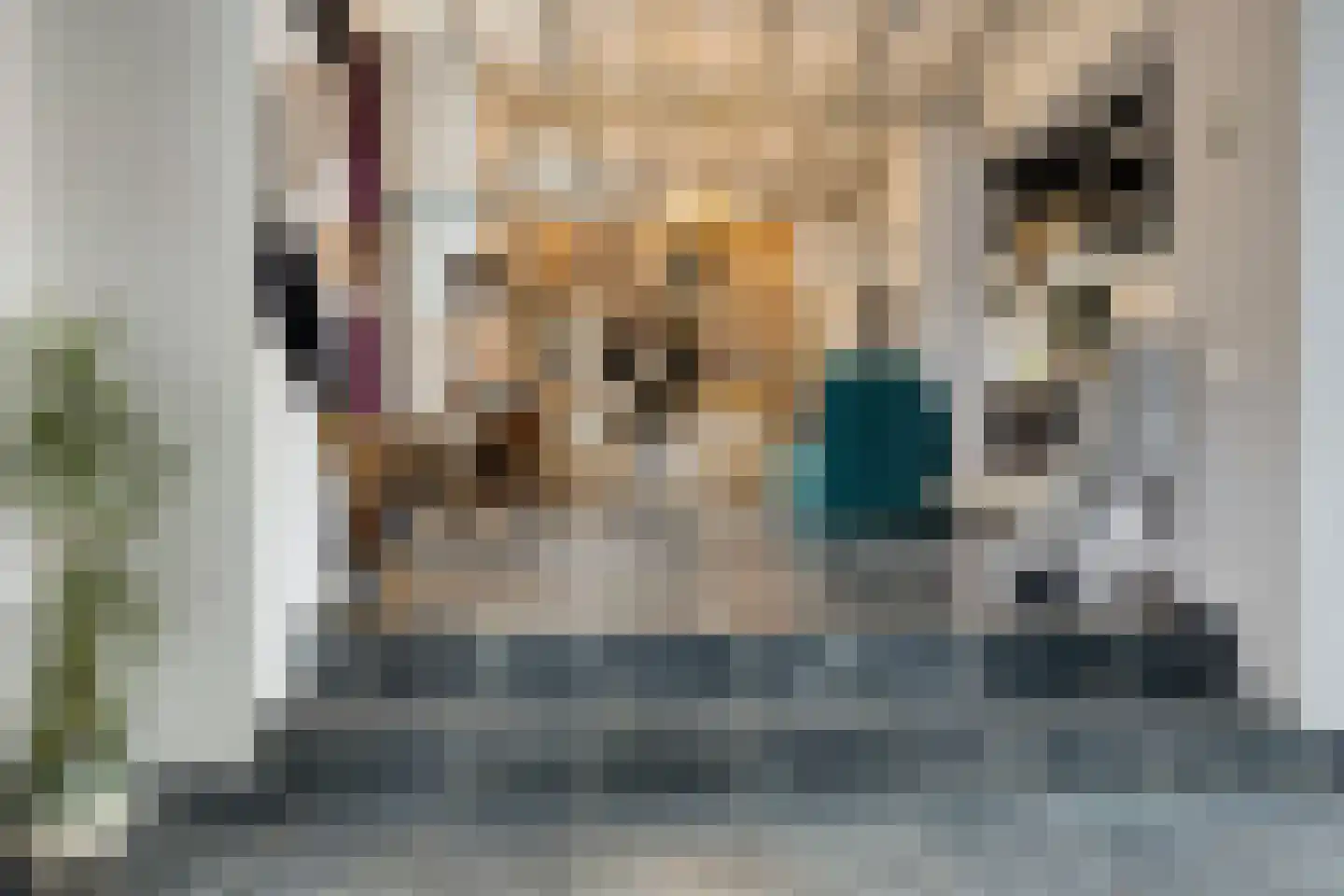 Koers 2 Huizen thumbnail 14