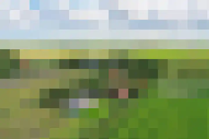 Koers 2 Huizen thumbnail 15